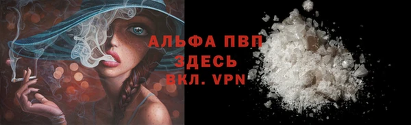 спиды Осташков