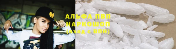 спиды Дрезна