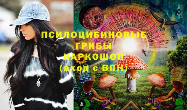 Альфа ПВП Осинники
