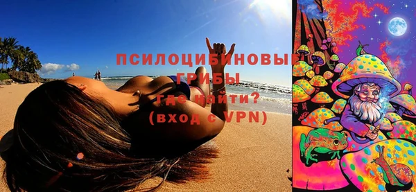 Альфа ПВП Осинники