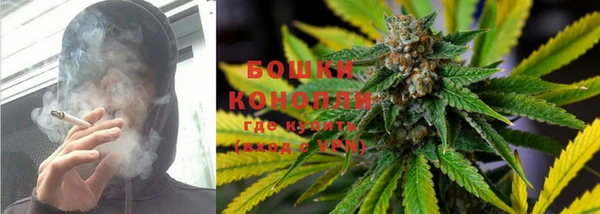 Альфа ПВП Осинники