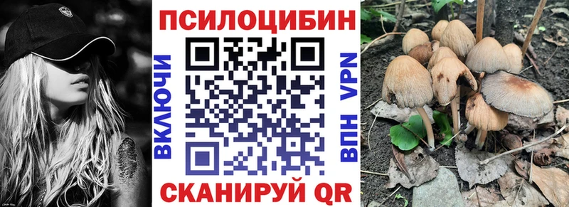 Галлюциногенные грибы Psilocybe  закладка  hydra   Катайск 
